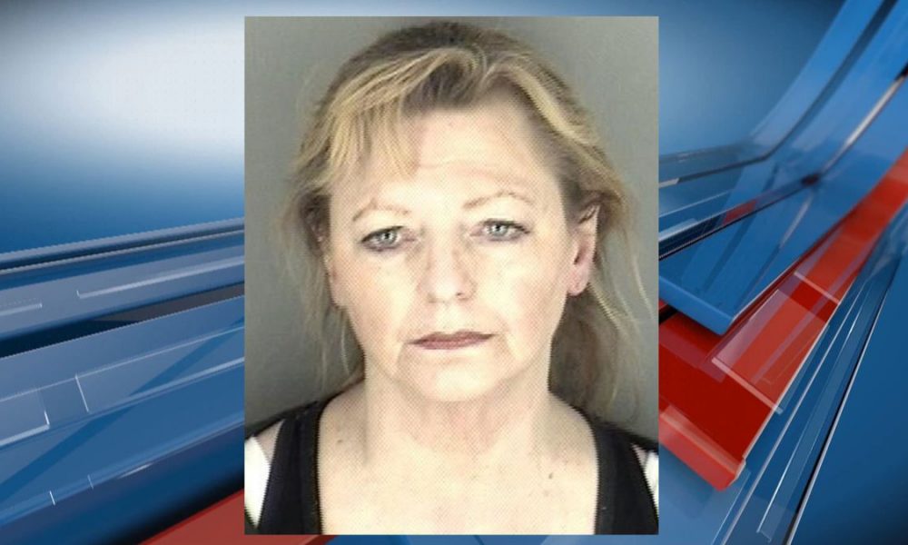 Tecumseh woman booked for drugs after Sunday night traffic stop - MDMH ...